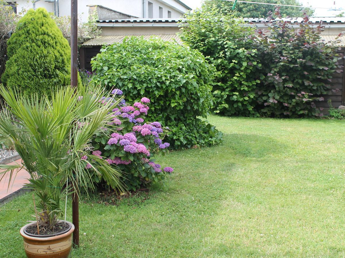 Apartment Rerik With Fenced Garden Εξωτερικό φωτογραφία