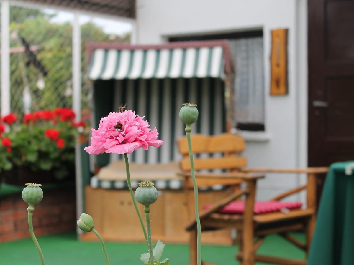 Apartment Rerik With Fenced Garden Εξωτερικό φωτογραφία